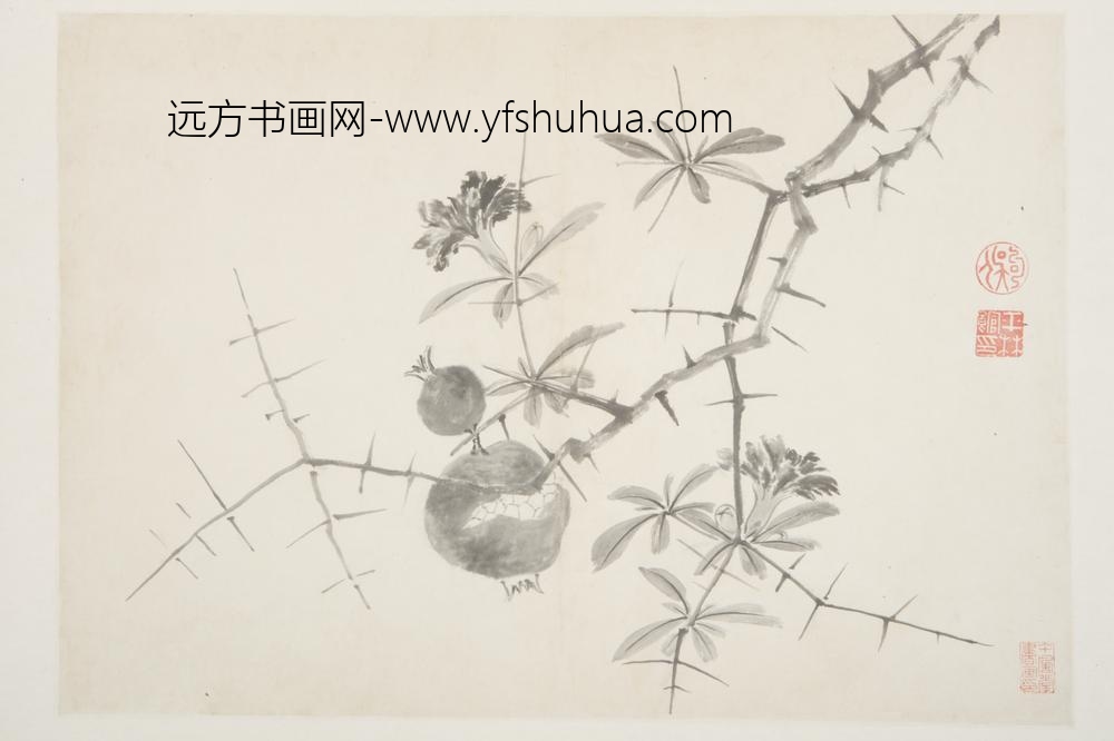 明-谈志伊花鸟册-
