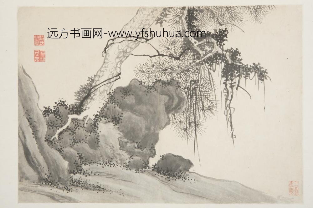 明-谈志伊花鸟册-