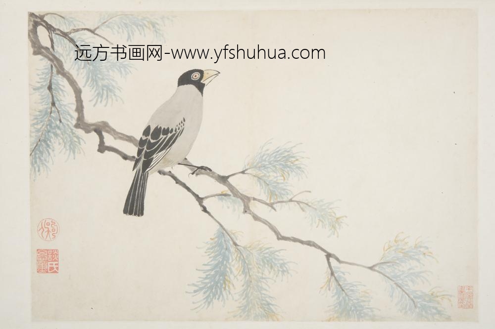 明-谈志伊花鸟册-