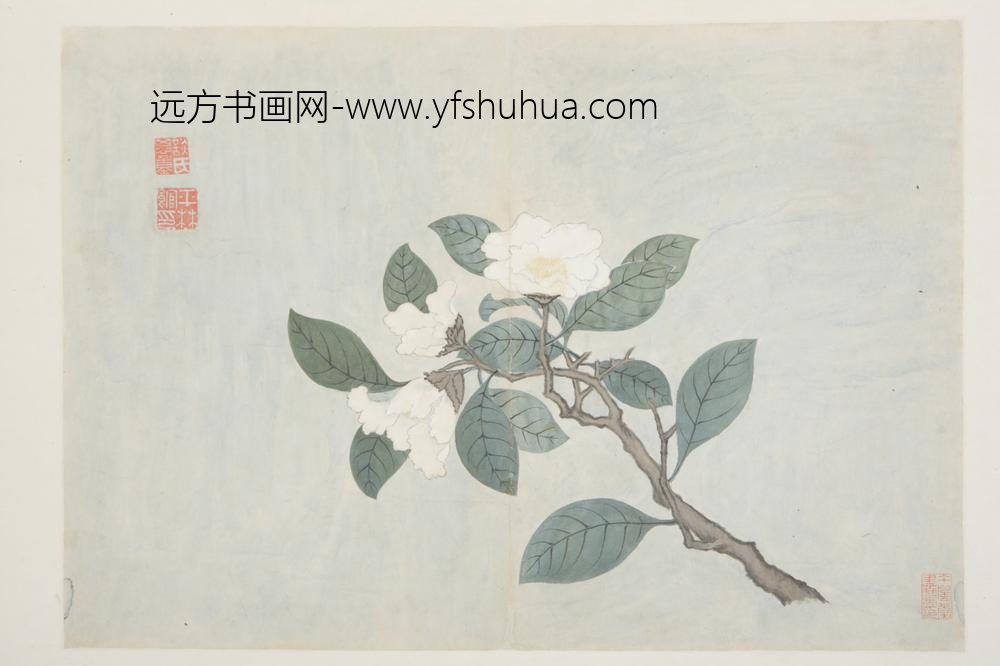 明-谈志伊花鸟册-