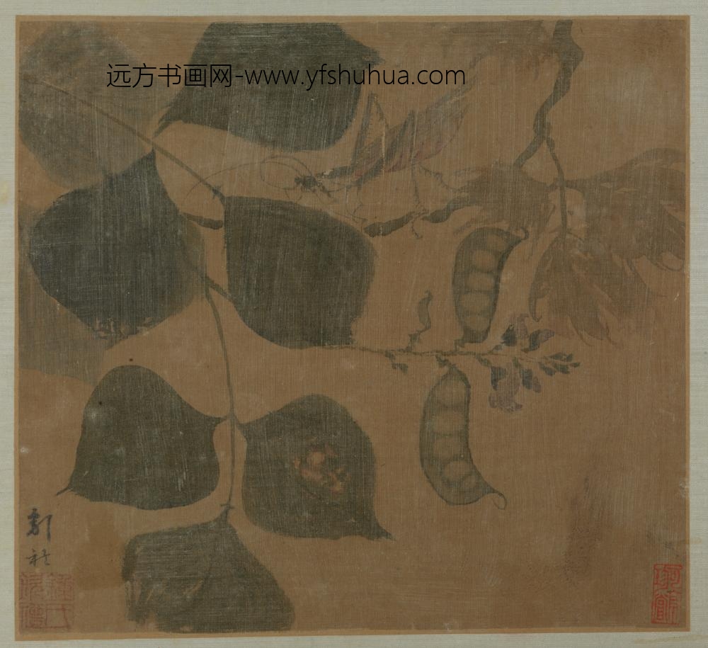 明-钟钦礼豆荚螳螂册页