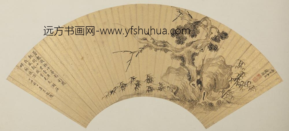 明-钱穀柏石图扇页