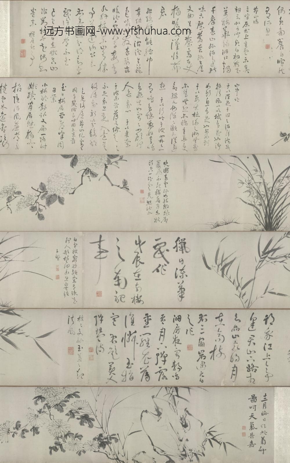 明-陈芹竹兰菊石图卷