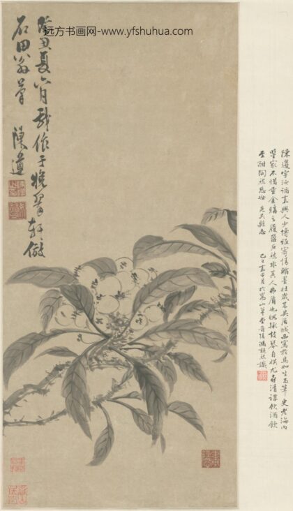 明 陈遵枇杷图轴.jpg