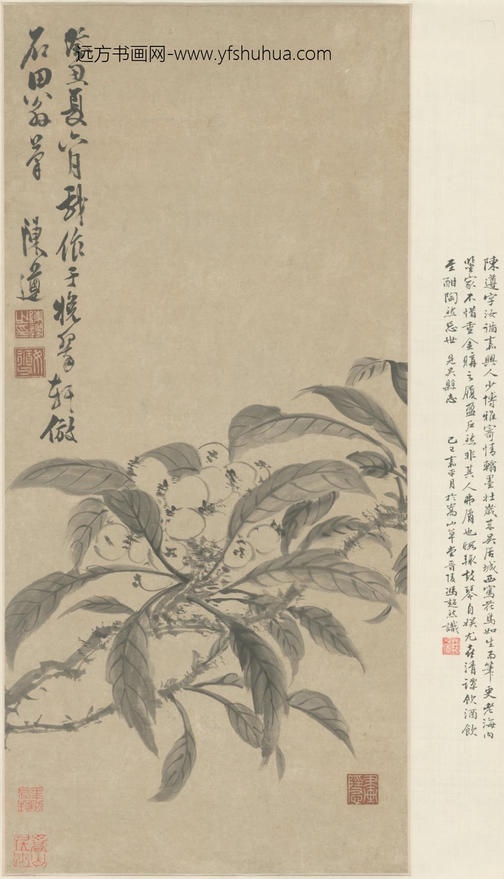 明-陈遵枇杷图轴