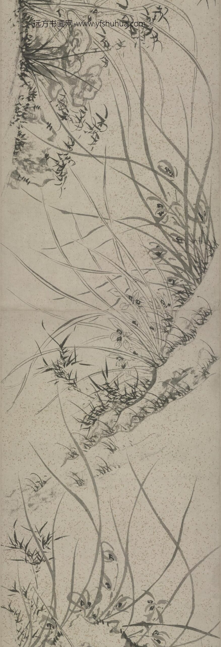 明-马守真兰石图卷_