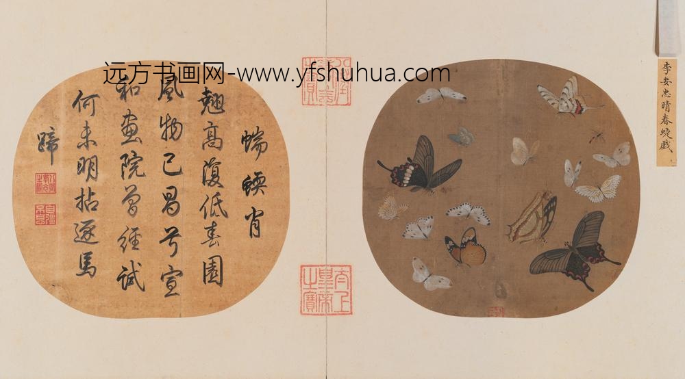 晴春蝶戏图页
