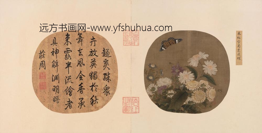 朱绍宗菊丛飞蝶图页