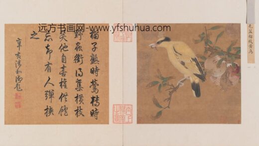 榴枝黄鸟图页.jpg