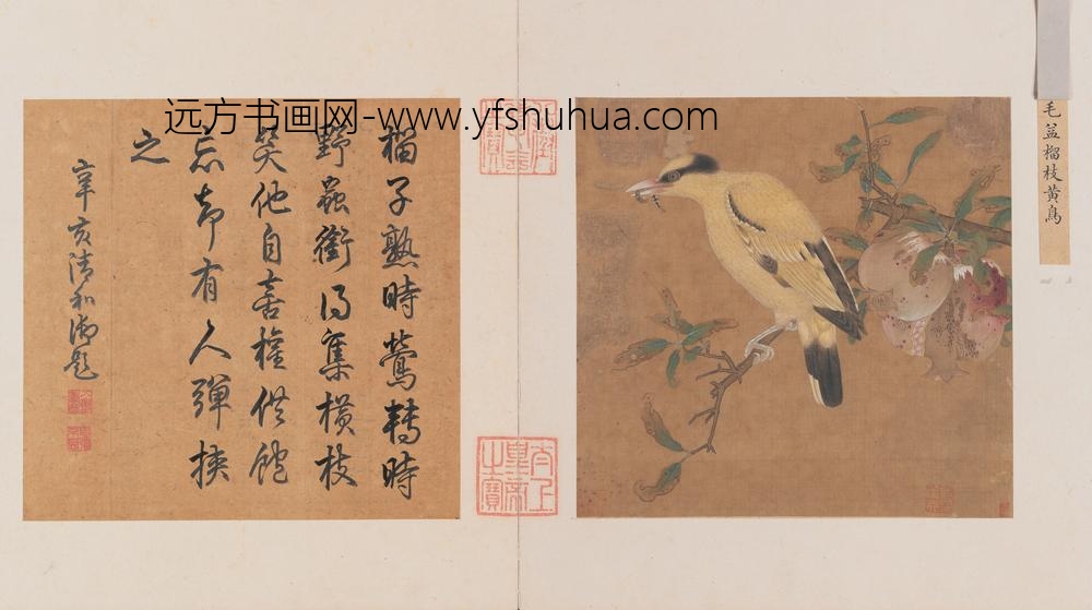 榴枝黄鸟图页