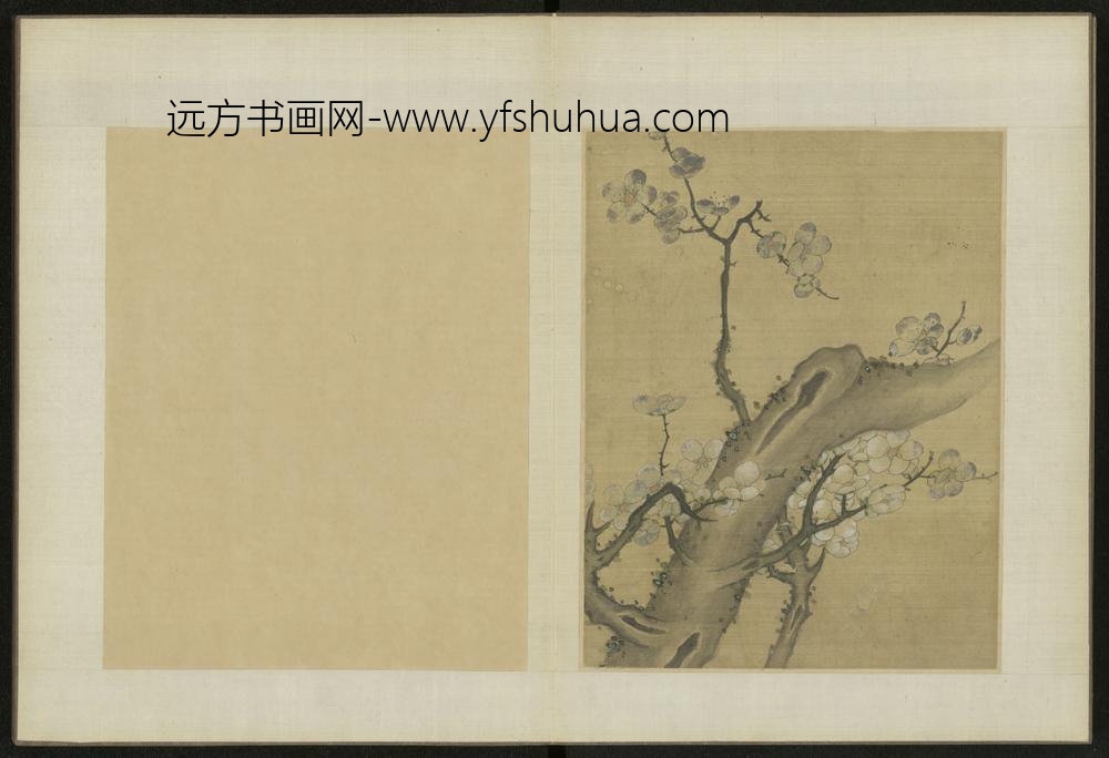 清-伊天麟花卉册-