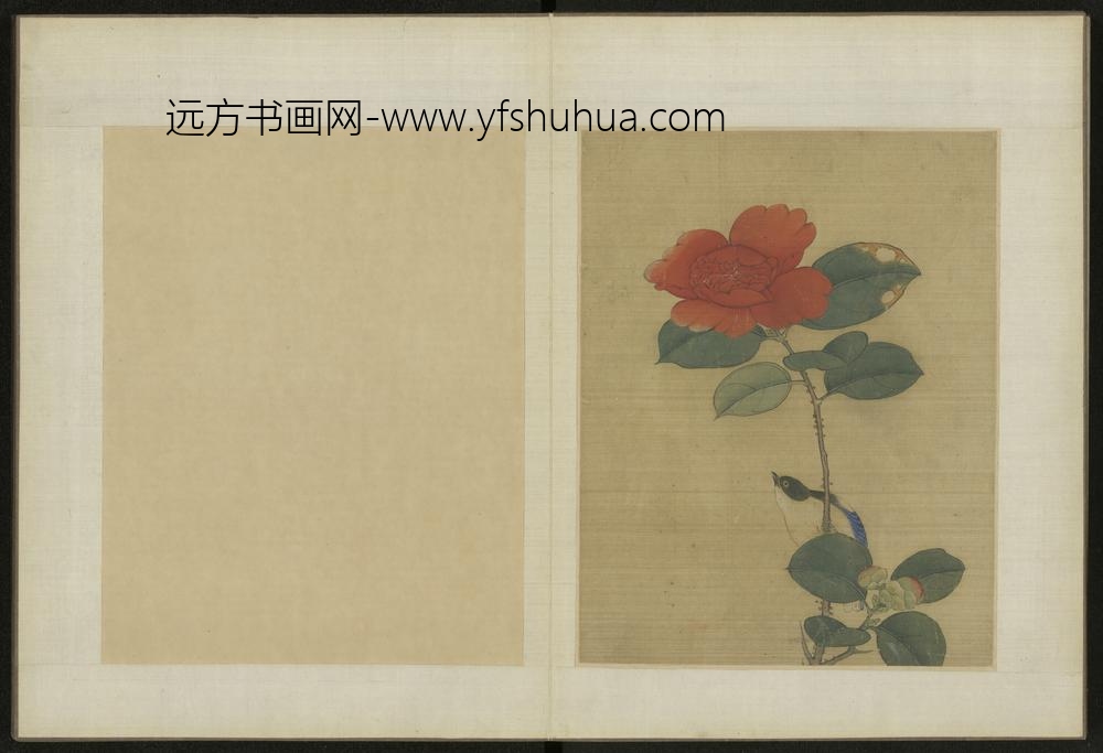 清-伊天麟花卉册-