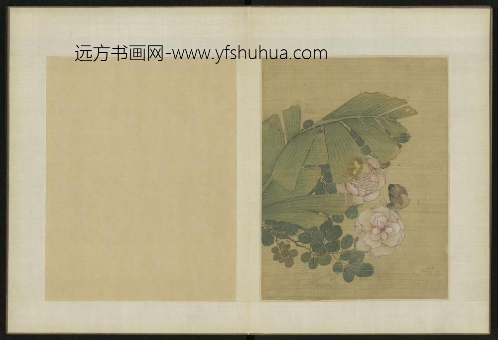 清-伊天麟花卉册-