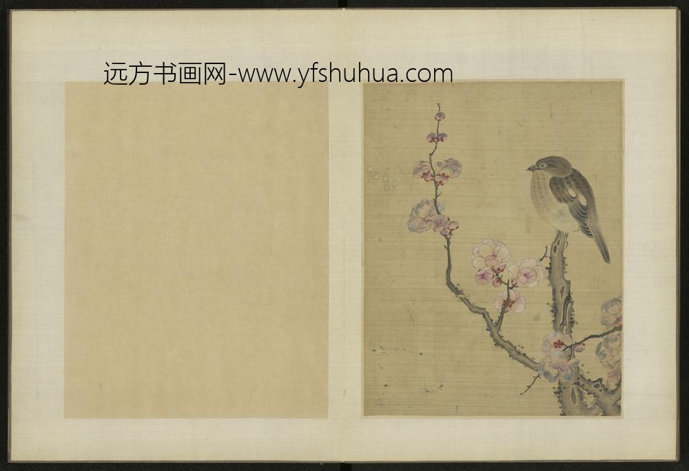 清-伊天麟花卉册-