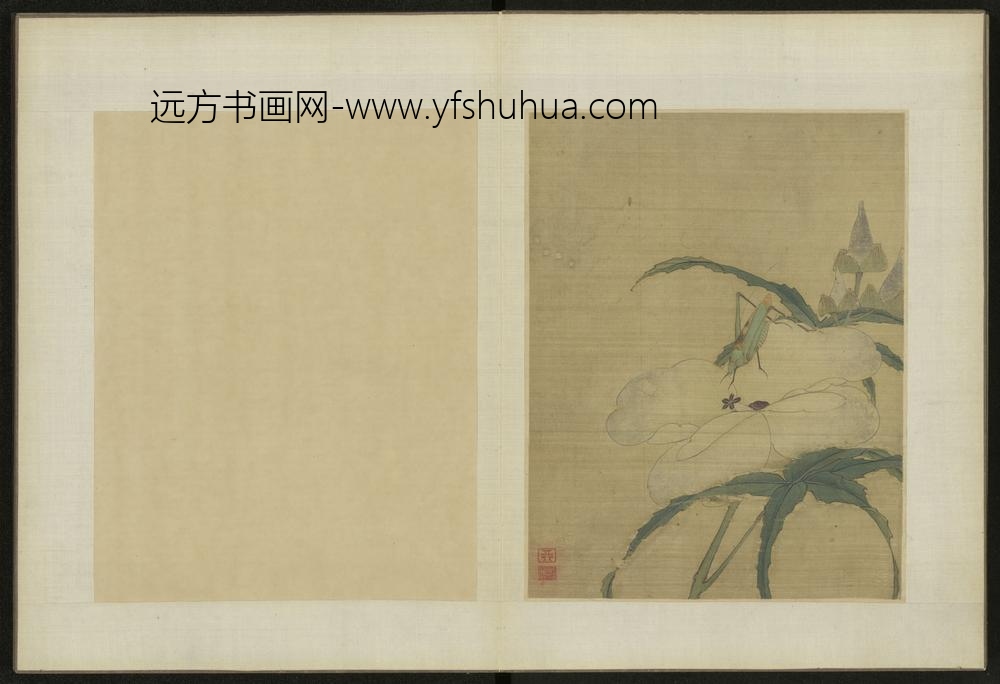 清-伊天麟花卉册-
