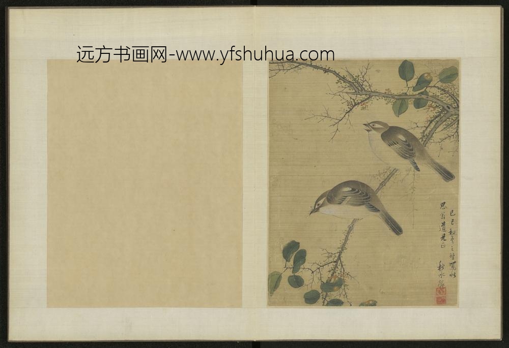 清-伊天麟花卉册-