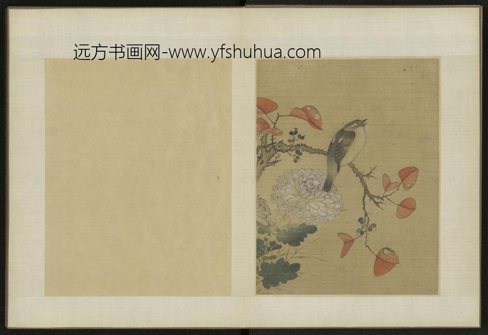 清-伊天麟花卉册-