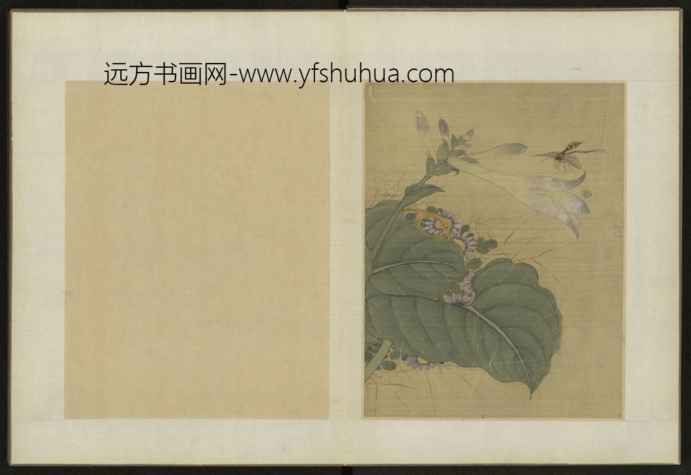 清-伊天麟花卉册-