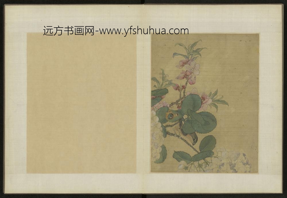 清-伊天麟花卉册-