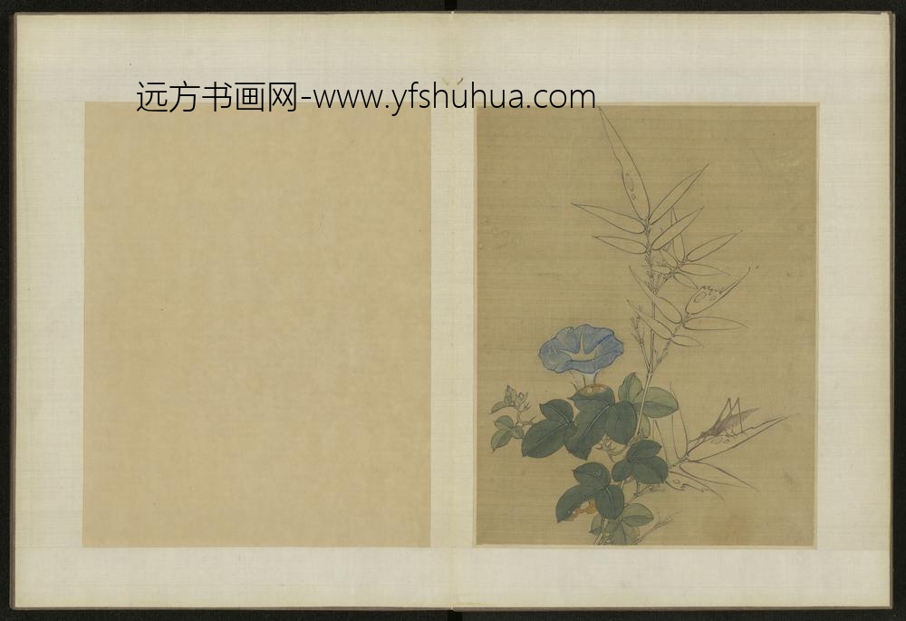 清-伊天麟花卉册-