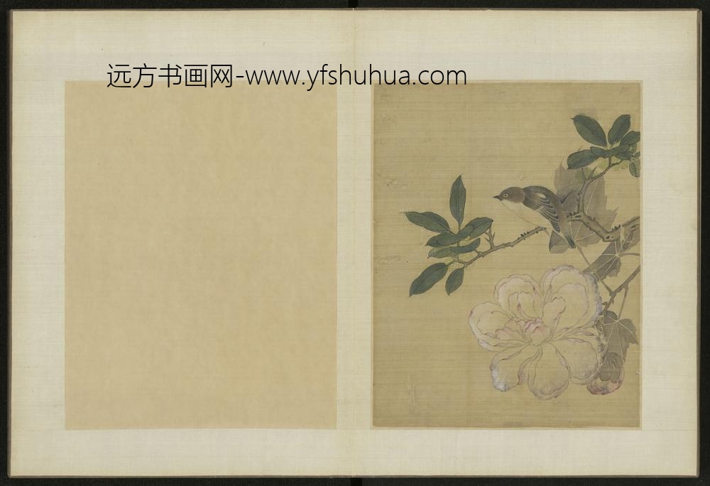 清-伊天麟花卉册-