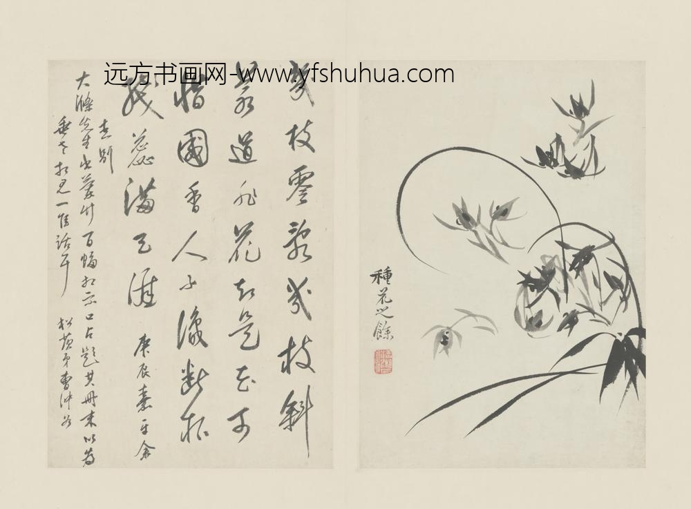 清-原济兰竹册－兰花