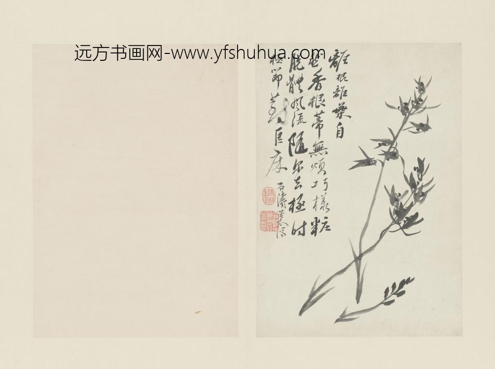 清-原济兰竹册－兰花