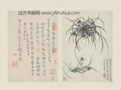 清 原济兰竹册－兰草.jpg