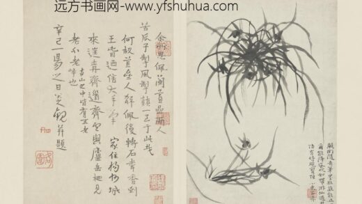 清 原济兰竹册－兰草.jpg