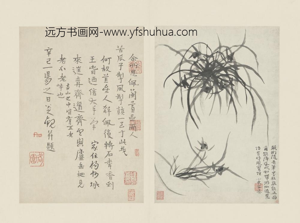 清-原济兰竹册－兰草