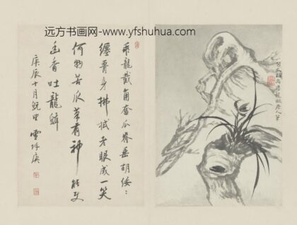 清 原济兰竹册－古木兰草.jpg