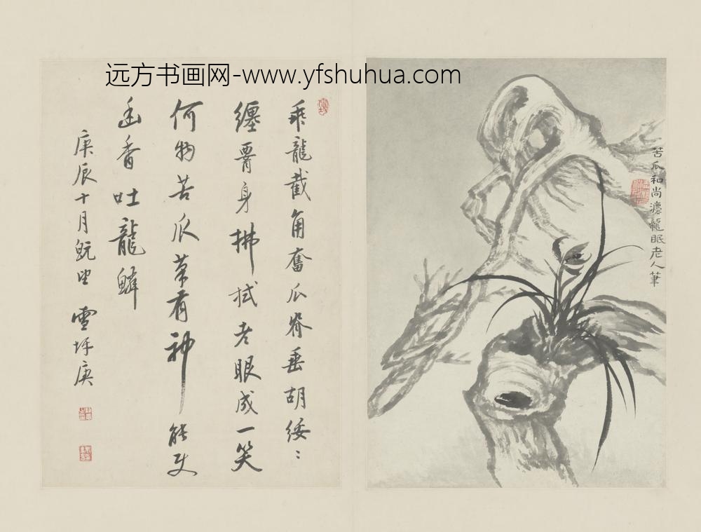 清-原济兰竹册－古木兰草