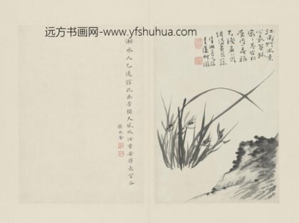 清 原济兰竹册－坡石兰草.jpg