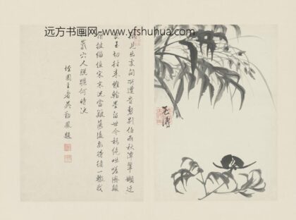 清 原济兰竹册－芍药兰花.jpg