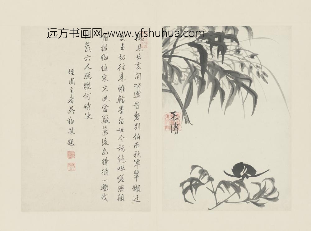 清-原济兰竹册－芍药兰花