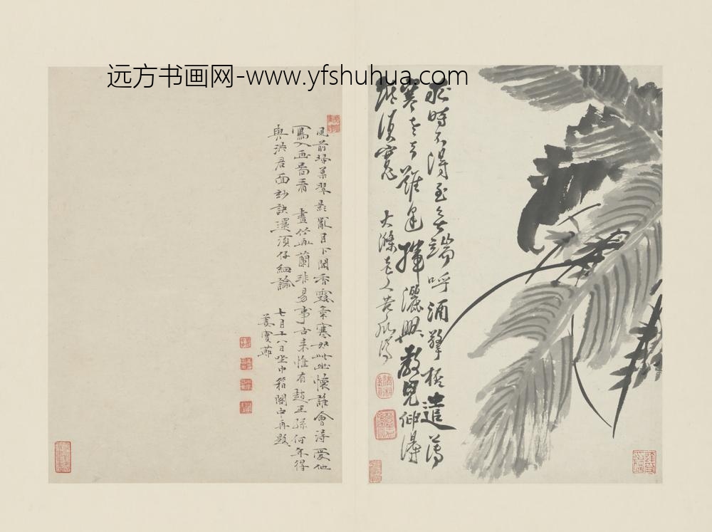 清-原济兰竹册－蕉叶兰草