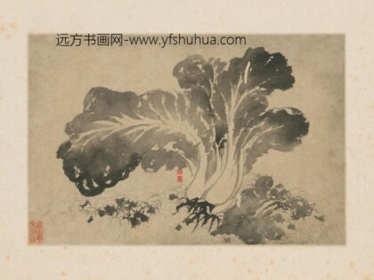 清 原济墨白菜图页.jpg