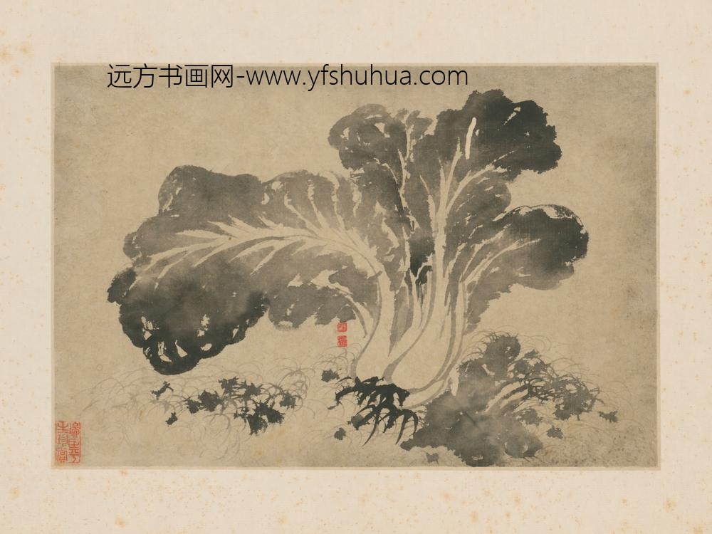 清-原济墨白菜图页