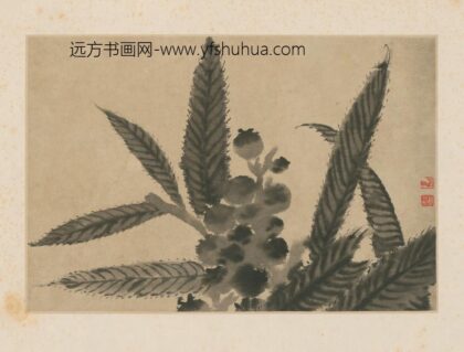 清 原济枇杷图页.jpg
