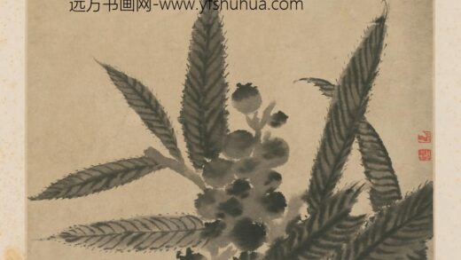 清 原济枇杷图页.jpg