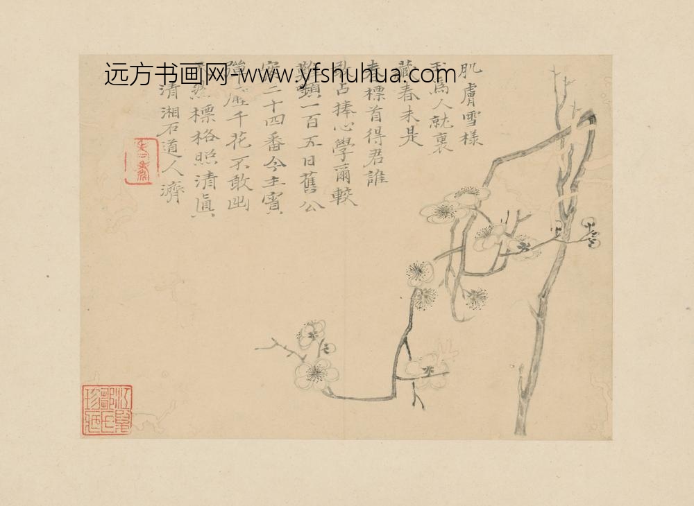 清-原济梅花册单页
