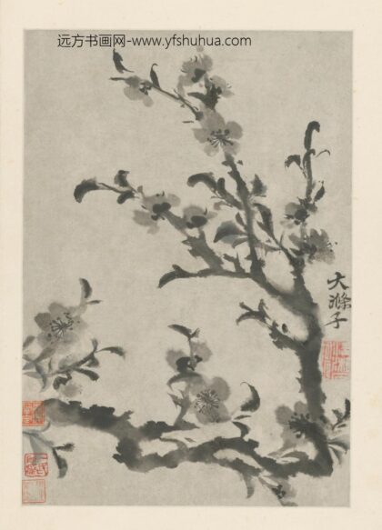 清 原济花卉图册 1.jpg