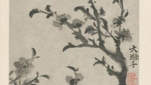 清 原济花卉图册 1.jpg