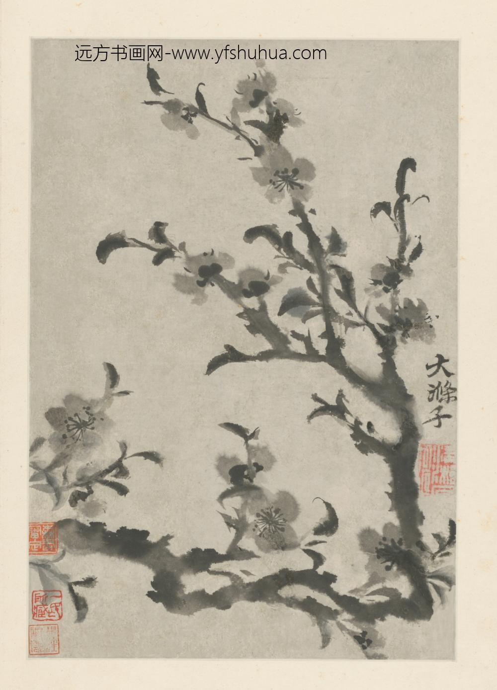 清-原济花卉图册-