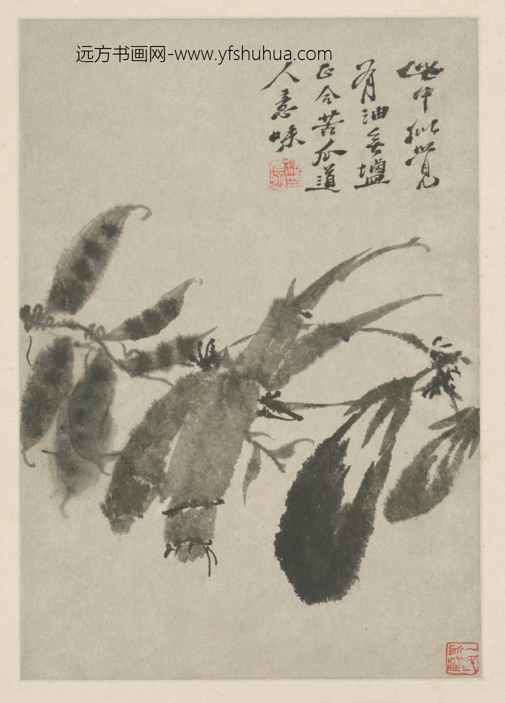 清-原济花卉图册-