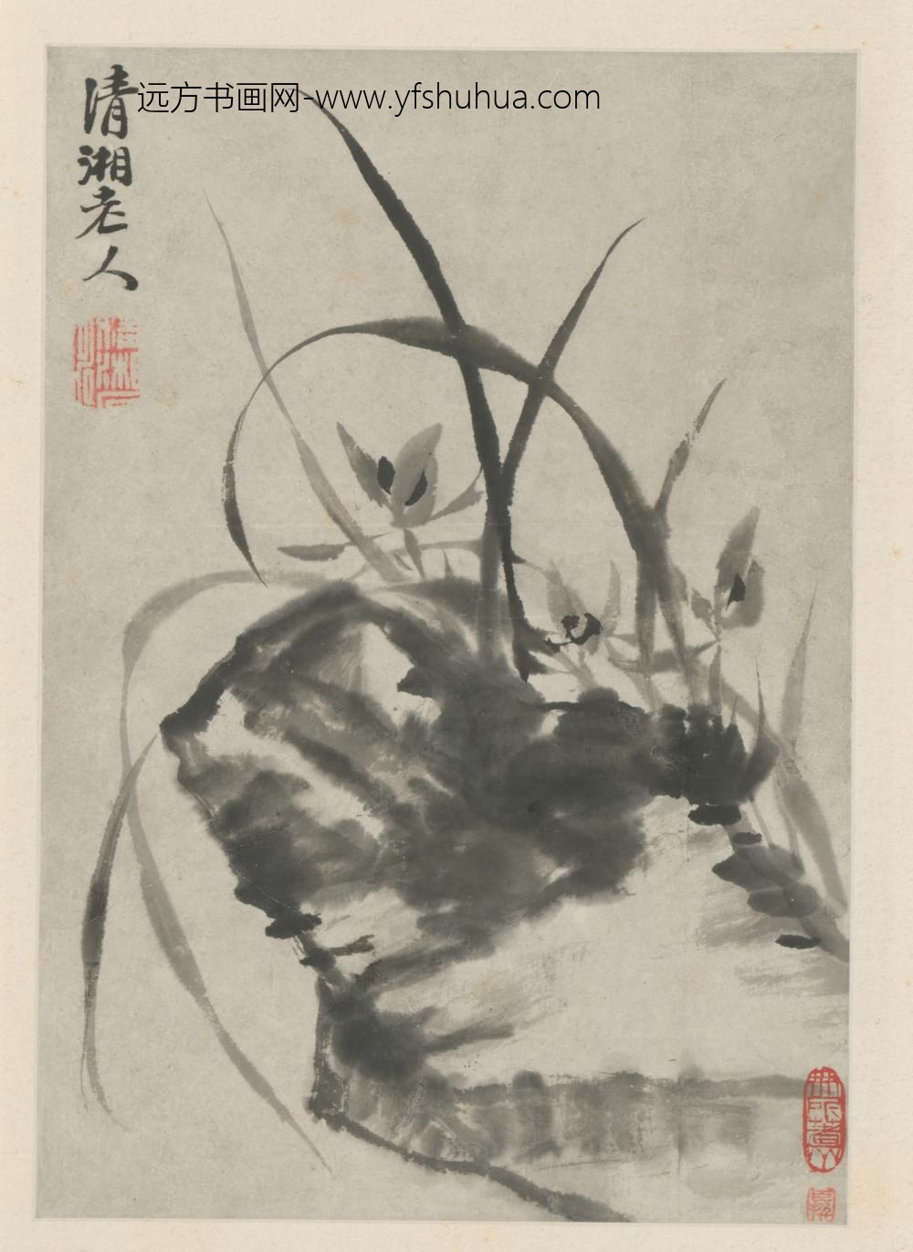 清-原济花卉图册-