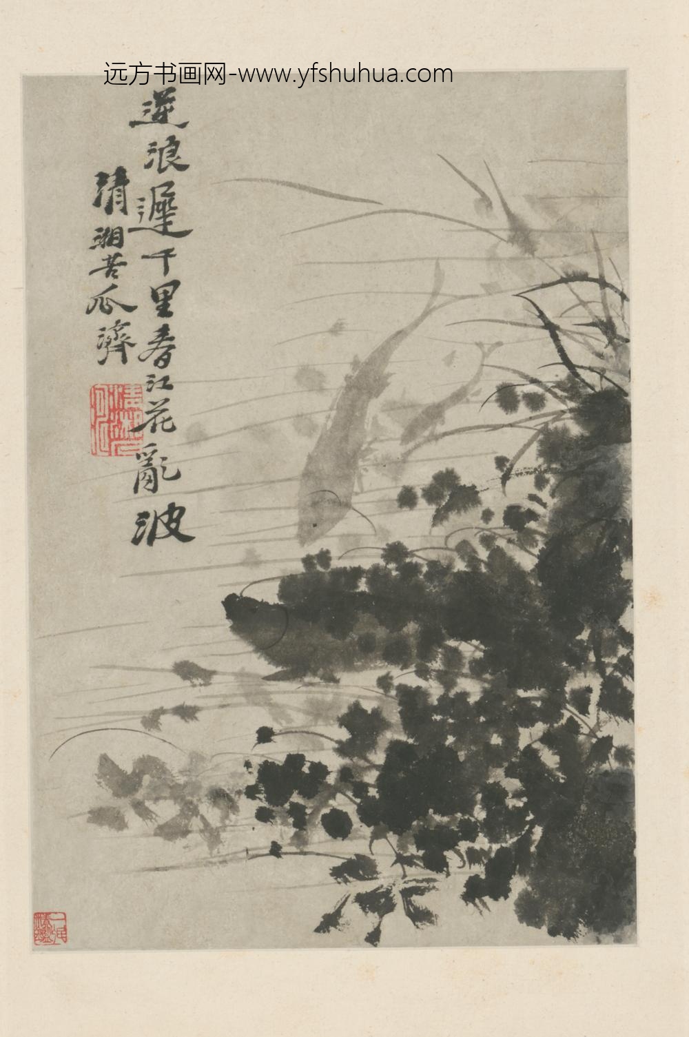 清-原济花卉图册-