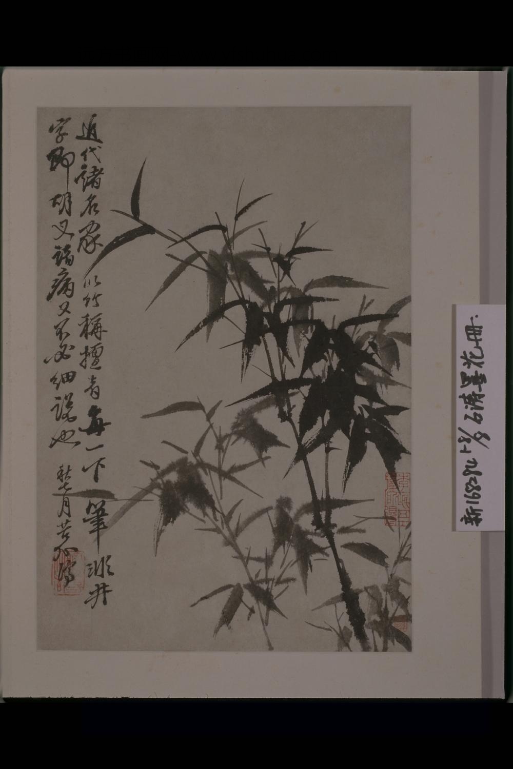 清-原济花卉图册-