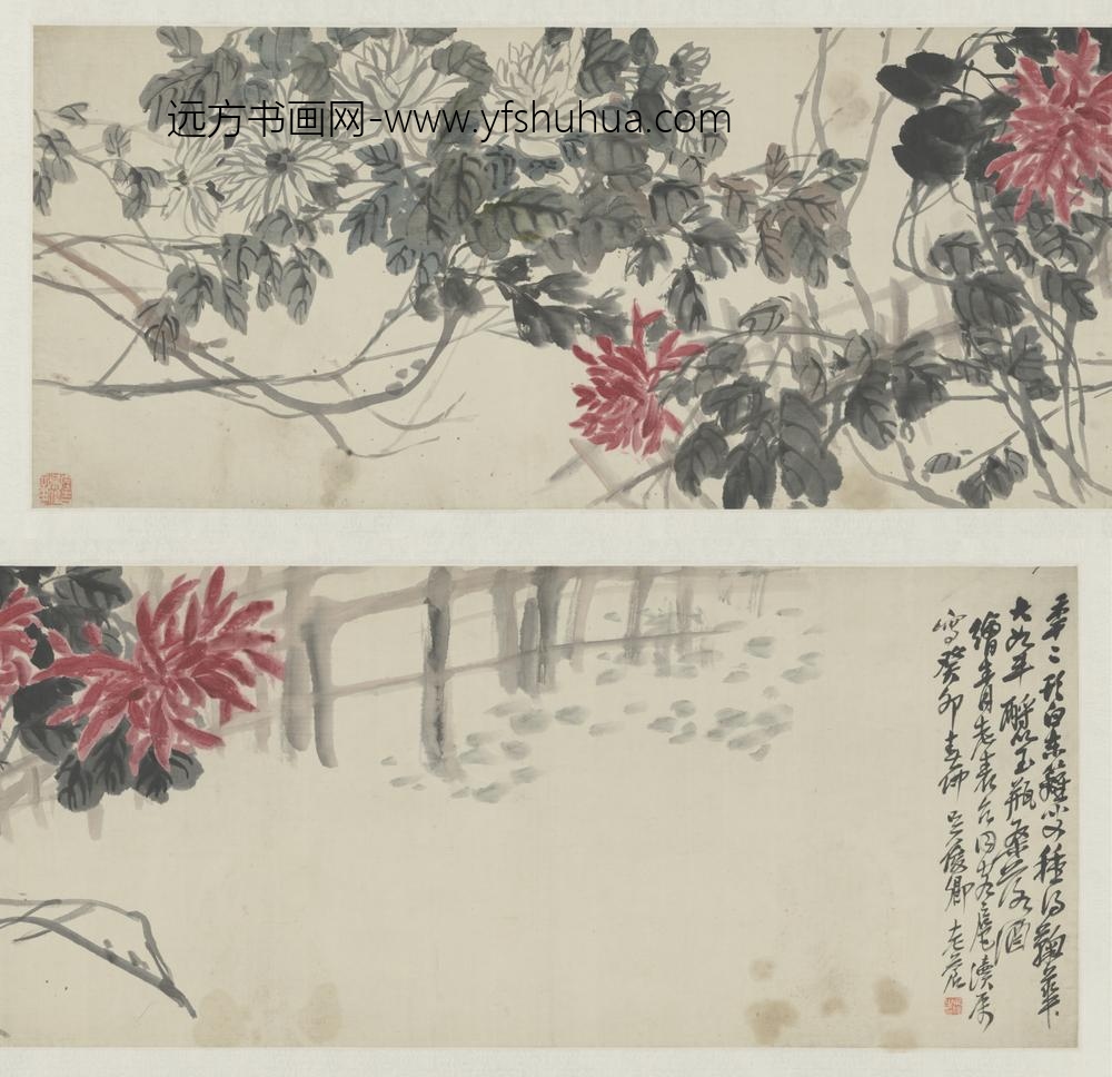 清-吴俊卿菊花卷