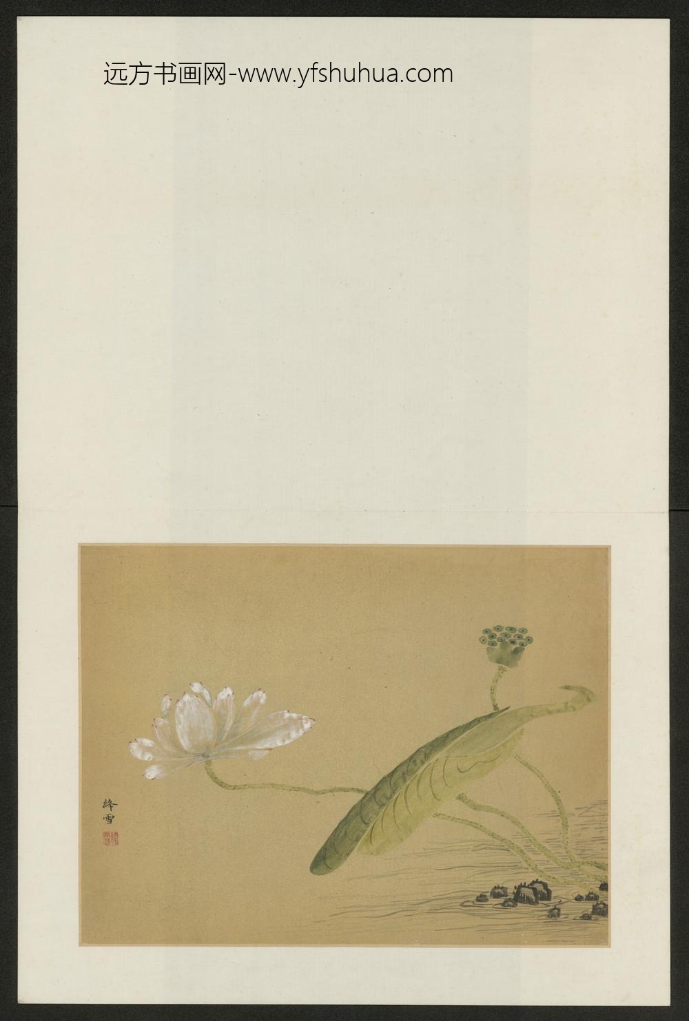 清-吴宗爱花鸟图册-